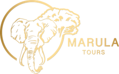 Marula Tours